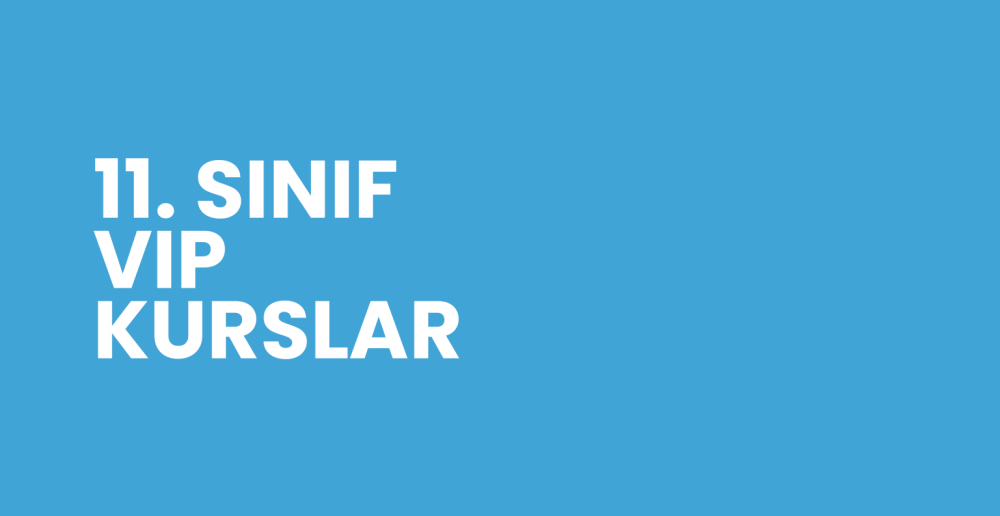 11. SINIF VIP KURSU